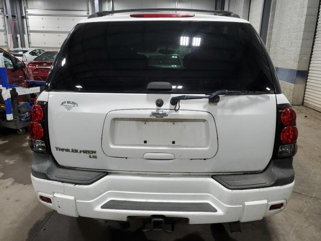 2006 Chevrolet Trailblazer Ls VIN: 1GNDT13S262110290 Lot: 45202364