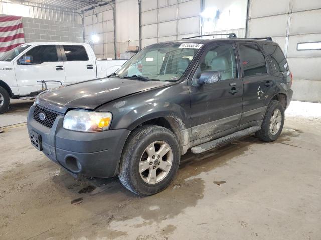 Lot #2408871960 2005 FORD ESCAPE XLT salvage car