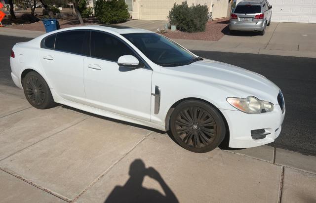 Lot #2394037250 2011 JAGUAR XF salvage car