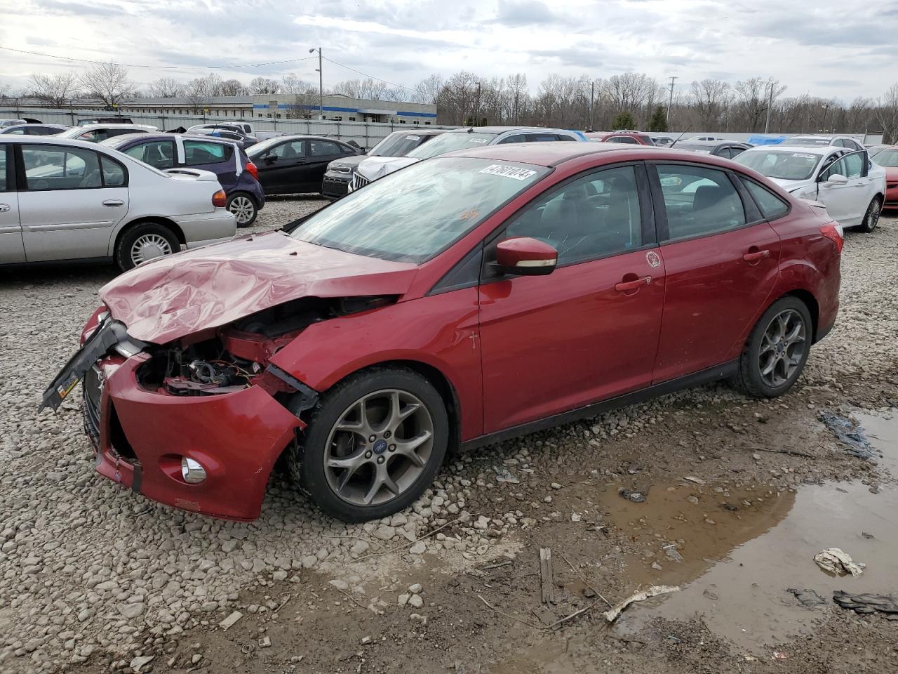 2014 Ford Focus Se vin: 1FADP3F29EL216156