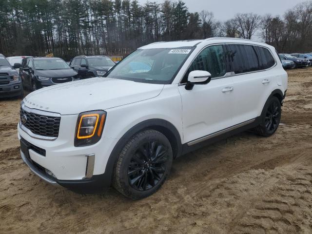 2020 Kia Telluride Sx VIN: 5XYP5DHCXLG064793 Lot: 48352034