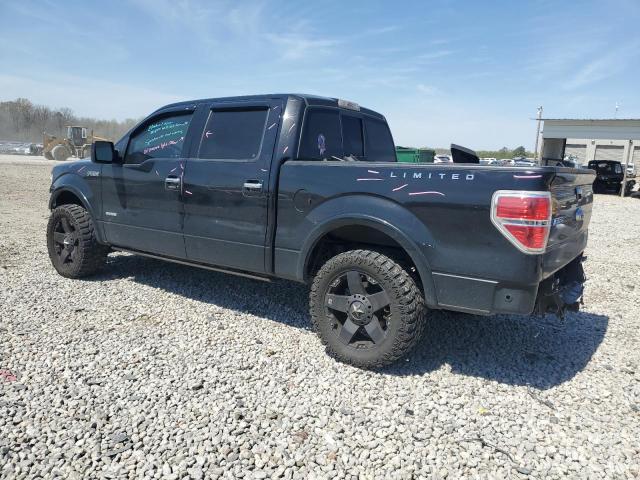 2013 Ford F150 Supercrew VIN: 1FTFW1ET6DFA15879 Lot: 49011614