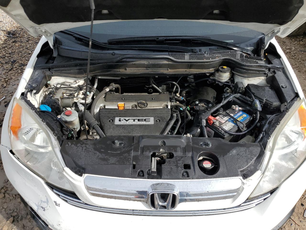 JHLRE48737C123126 2007 Honda Cr-V Exl