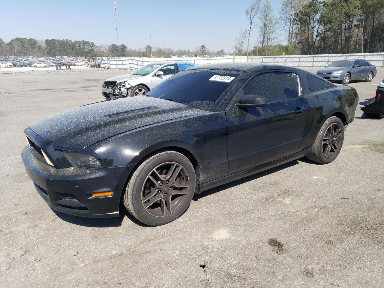 1ZVBP8AM3D5265859 2013 Ford Mustang