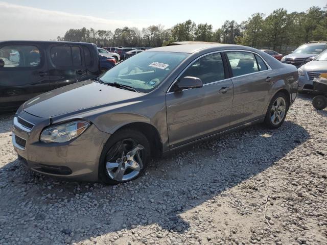 Lot #2414164195 2010 CHEVROLET MALIBU 1LT salvage car