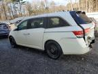 HONDA ODYSSEY EX photo