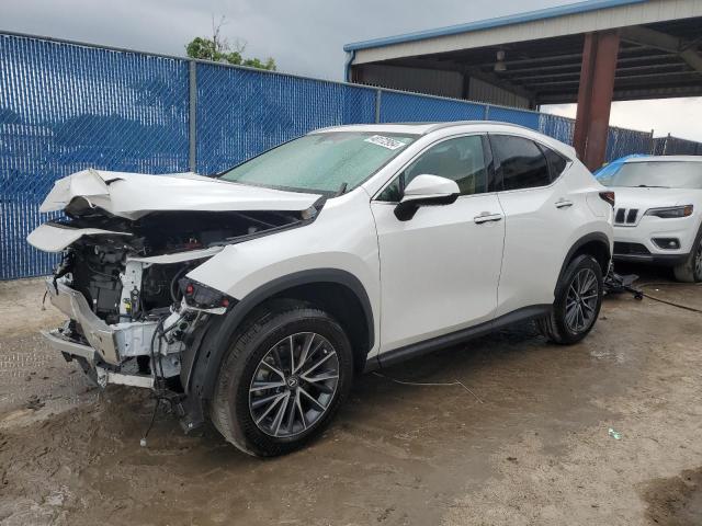 2024 Lexus Nx 250 Premium VIN: 2T2GDCAZ2RC007788 Lot: 48172954