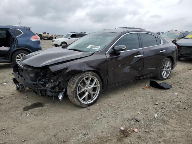 Lot #2485235833 2010 NISSAN MAXIMA S salvage car