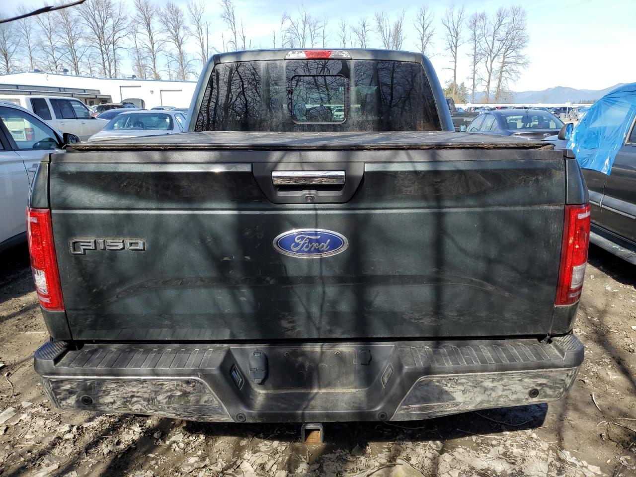 2015 Ford F150 Supercrew vin: 1FTEW1EG0FKE31130