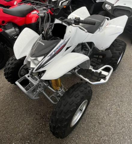 2008 HONDA TRX250 EX - 1HFTE270284701911