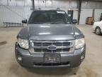 FORD ESCAPE XLT photo