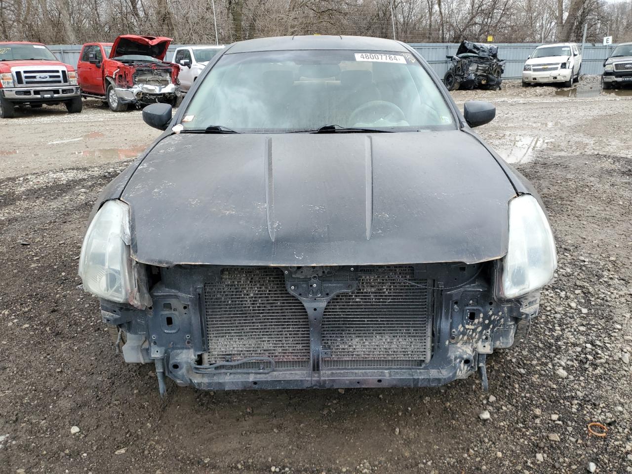 1N4BA41E54C884664 2004 Nissan Maxima Se