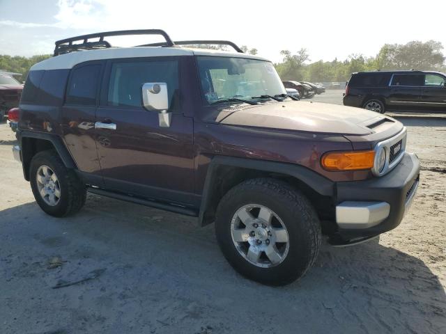 JTEBU11F170069730 2007 Toyota Fj Cruiser