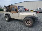 Lot #3027136807 1995 JEEP WRANGLER /