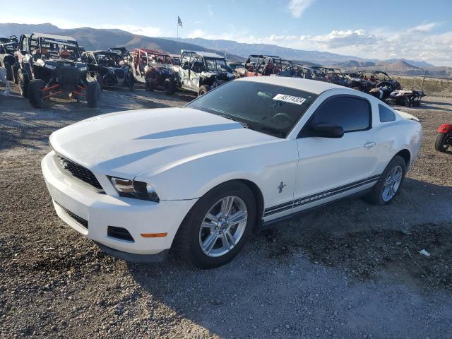 Lot #2492331977 2012 FORD MUSTANG salvage car