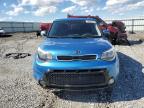 KIA SOUL + photo