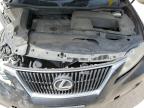 LEXUS RX 350 photo