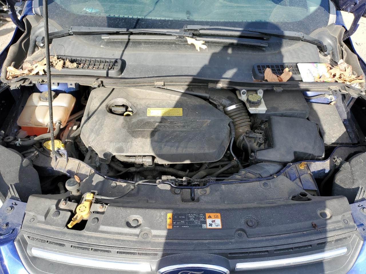 1FMCU9GX8DUC58219 2013 Ford Escape Se