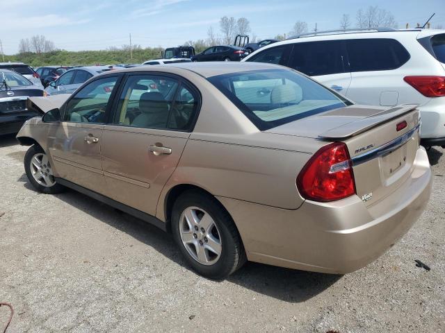 2005 Chevrolet Malibu Ls VIN: 1G1ZT54895F151055 Lot: 48988504