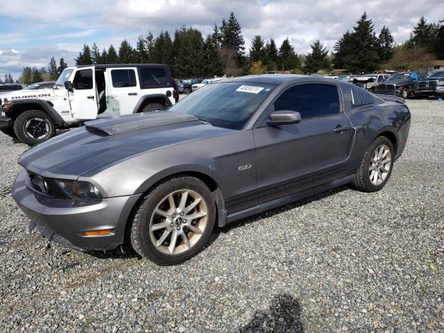 Lot #2462126679 2011 FORD MUSTANG GT salvage car