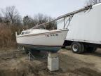 Lot #3029397686 1977 CCHM SAIL BOAT