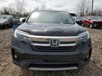 HONDA PILOT EXL photo