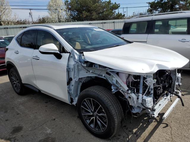 2024 LEXUS NX 350H BA 2T2AKCEZ8RC028733