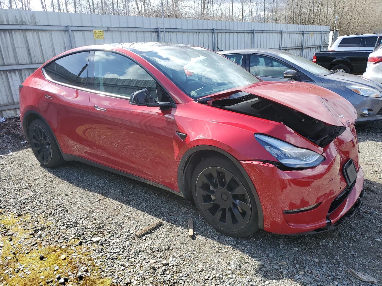 Lot #2428067066 2022 TESLA MODEL Y