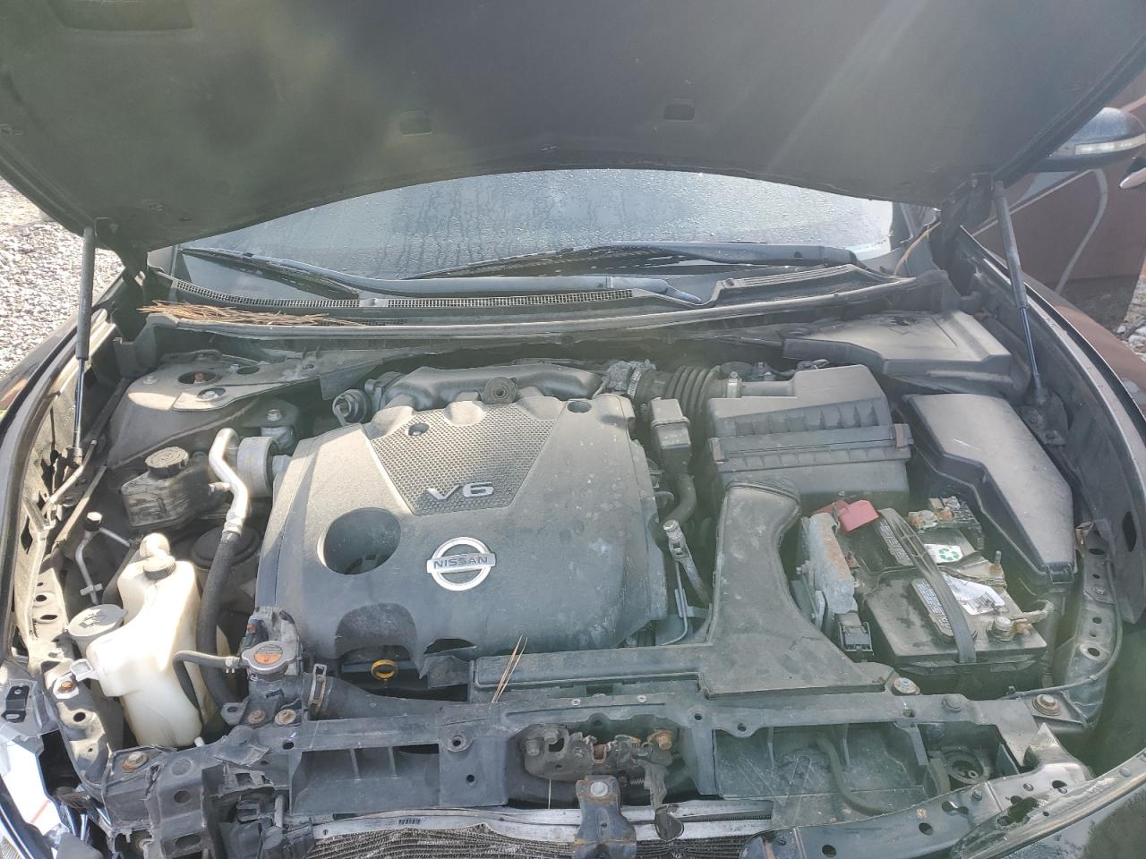 NISSAN MAXIMA S -