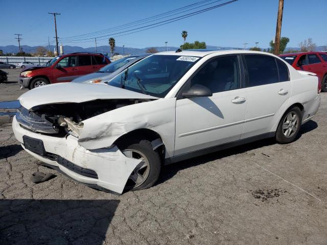 2005 Chevrolet Malibu Ls VIN: 1G1ZT54895F176506 Lot: 46383194