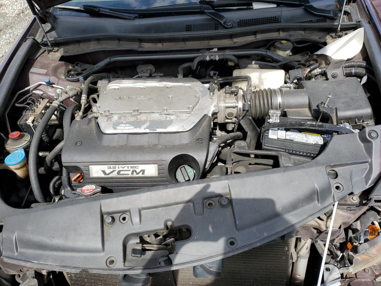 5KBCP3F88AB010609 2010 Honda Accord Exl