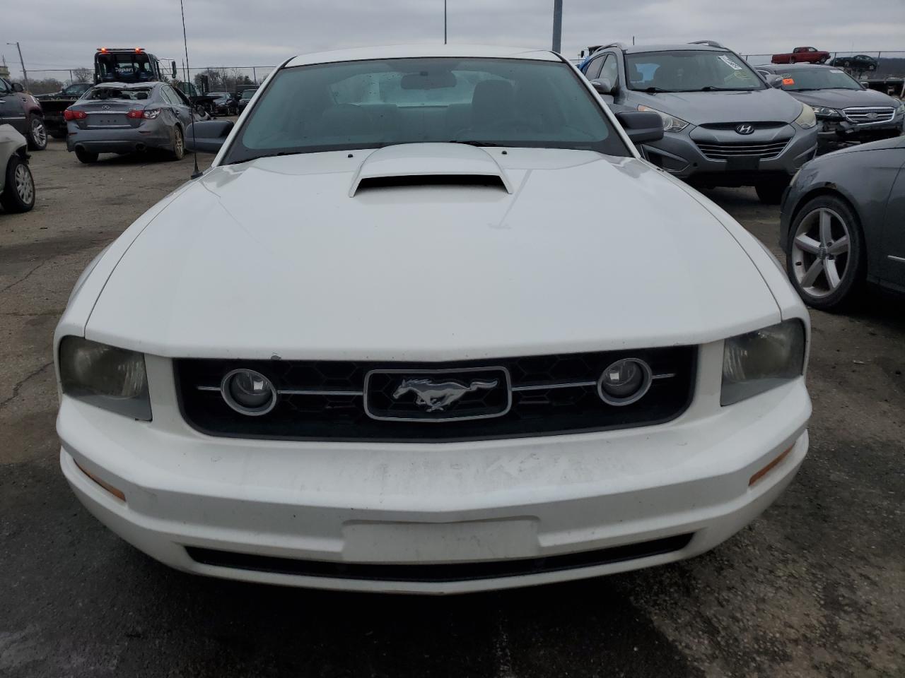 1ZVFT80N365175931 2006 Ford Mustang