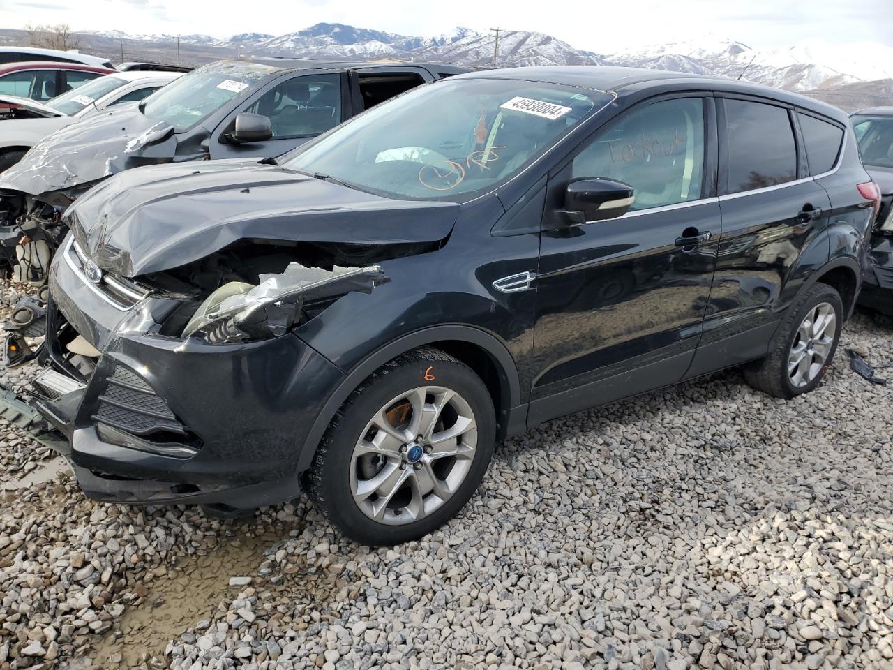 Lot #2485424670 2013 FORD ESCAPE SEL