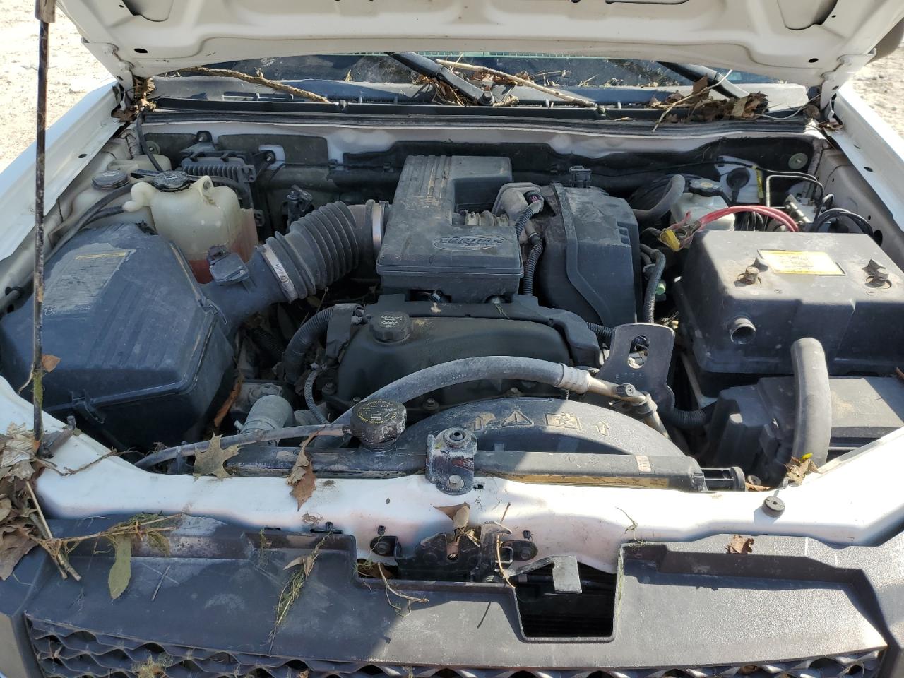 1GCDT146768228777 2006 Chevrolet Colorado