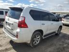 LEXUS GX 460 снимка