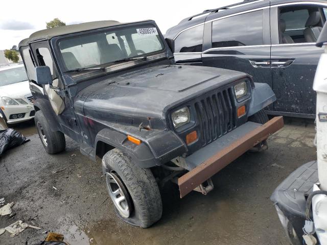 1994 Jeep Wrangler / Yj S VIN: 1J4FY19P8RP456156 Lot: 45008514