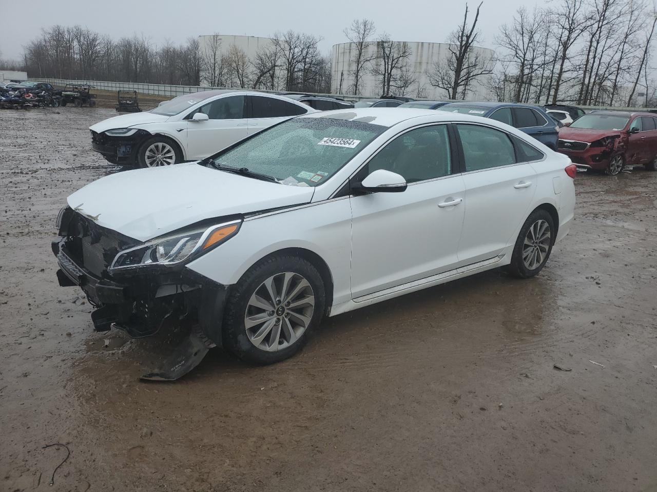 5NPE34AF7FH094073 2015 Hyundai Sonata Sport
