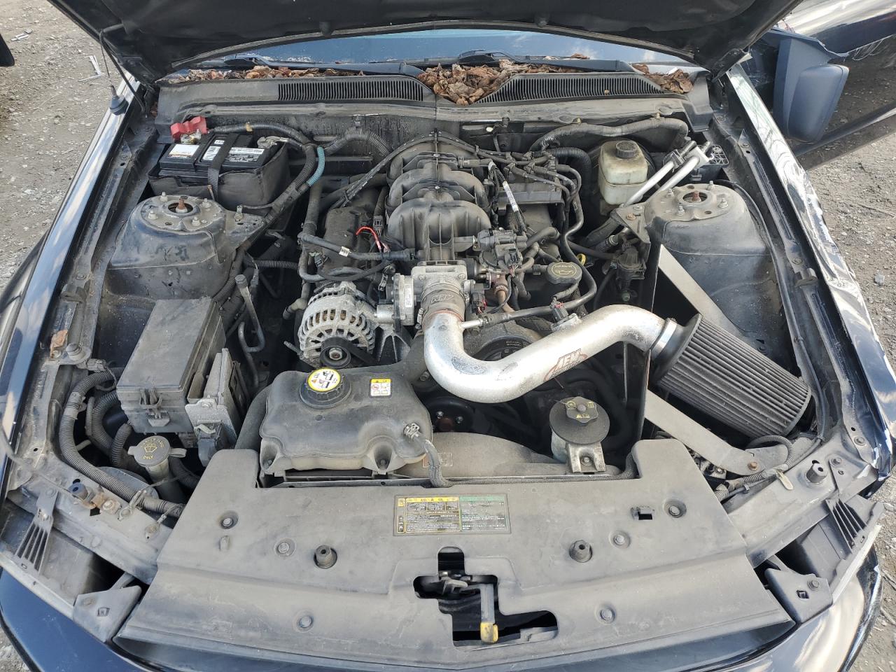 1ZVHT80N265106379 2006 Ford Mustang