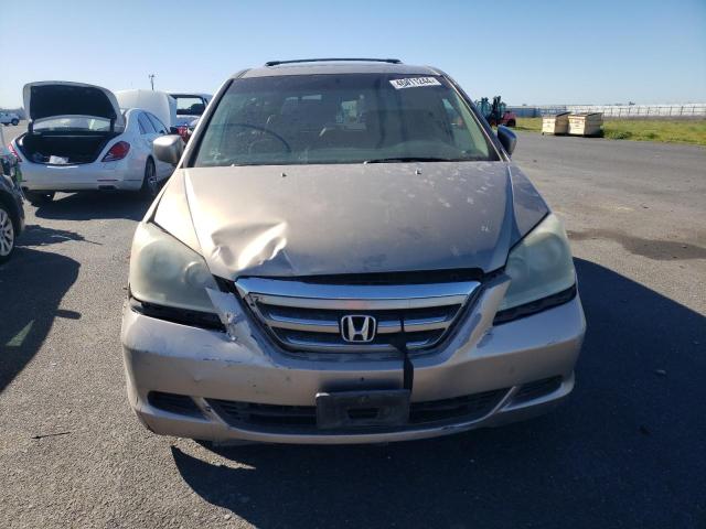 2005 Honda Odyssey Exl VIN: 5FNRL38655B042150 Lot: 46811244