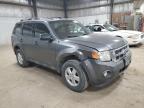 FORD ESCAPE XLT photo