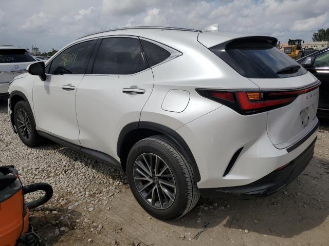 2022 LEXUS NX 250 JTJADCAZ0N5001048