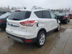 Lot #3023903210 2016 FORD ESCAPE TIT