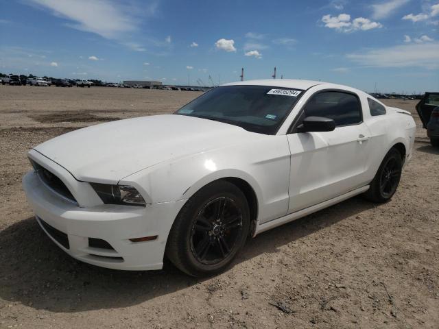 2013 Ford Mustang VIN: 1ZVBP8AM7D5282339 Lot: 49035294