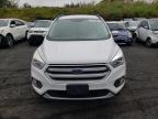 FORD ESCAPE SE photo