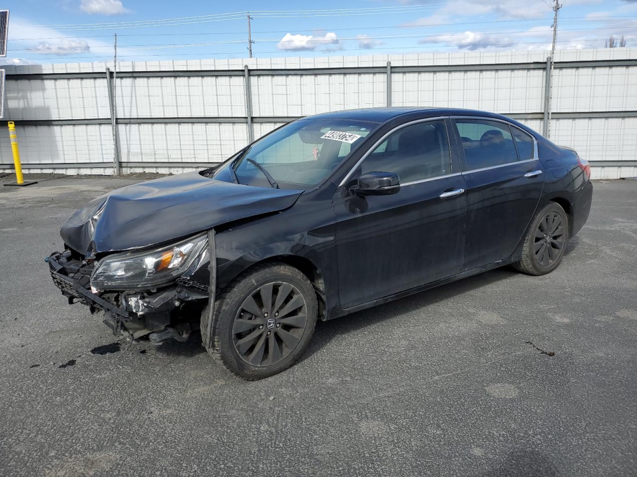 Lot #2779580594 2015 HONDA ACCORD EXL