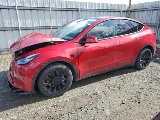 2022 TESLA MODEL Y #2428067066