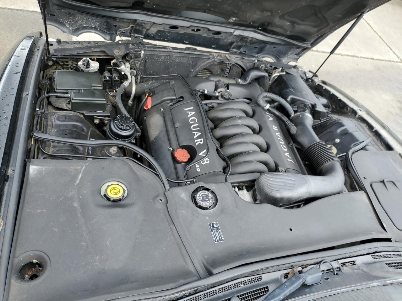 SAJDA24C13LF53925 2003 Jaguar Vandenplas