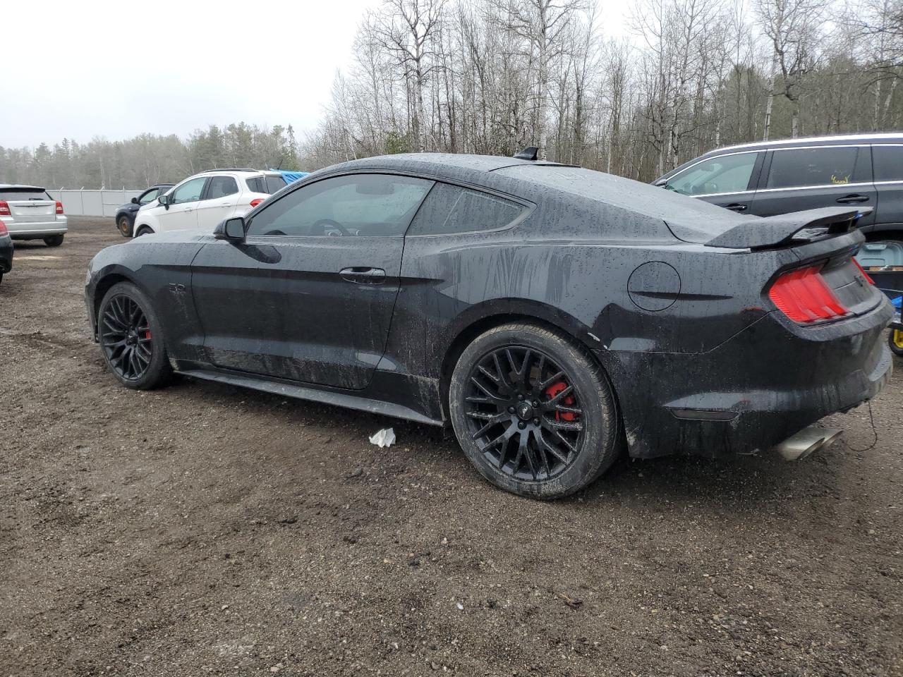 1FA6P8CF1L5159045 2020 Ford Mustang Gt