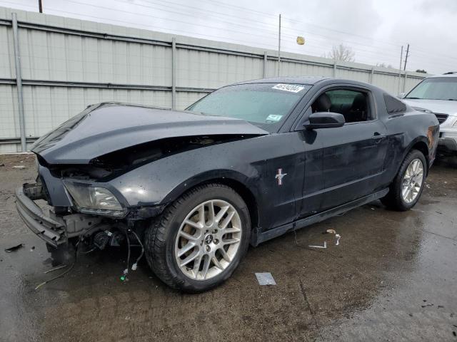 Lot #2473696258 2014 FORD MUSTANG salvage car