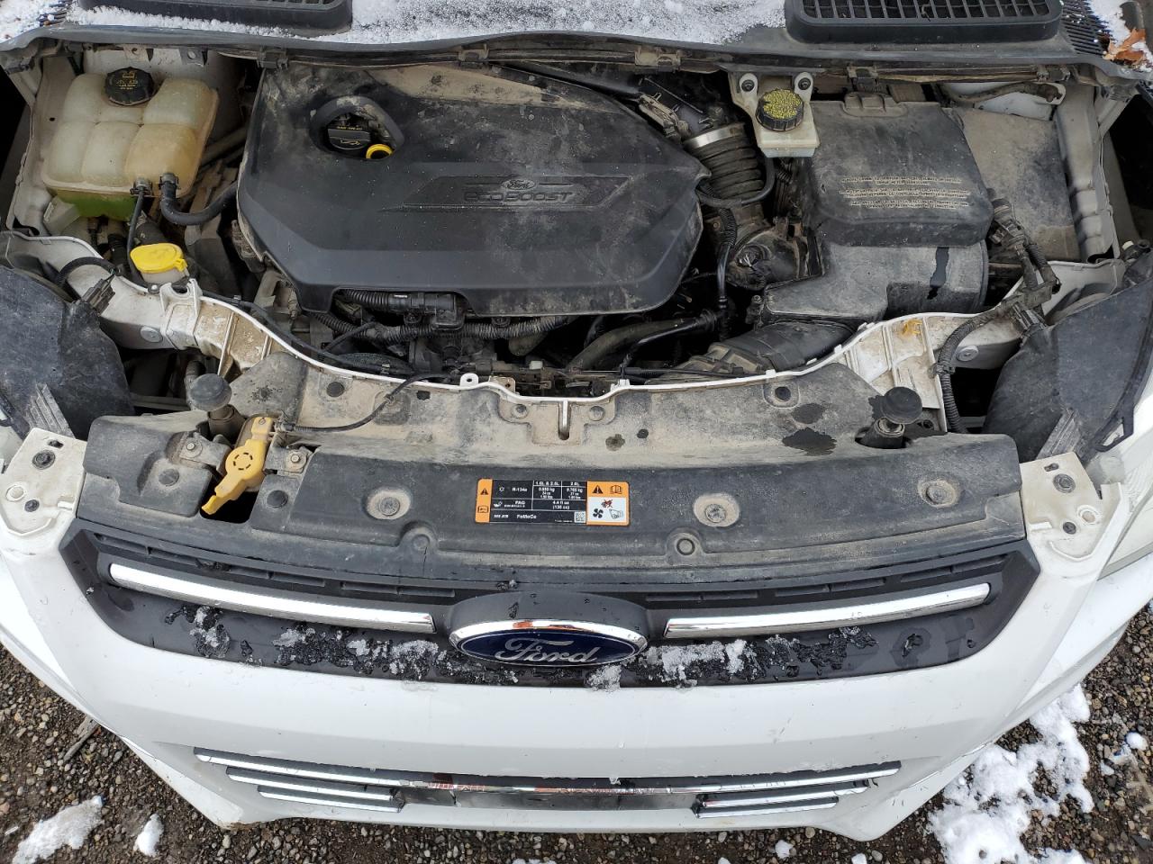 1FMCU0GX1EUE29194 2014 Ford Escape Se